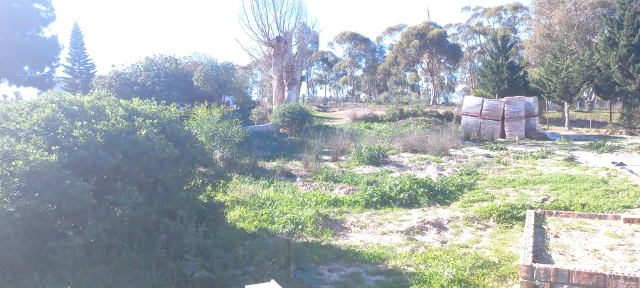 0 Bedroom Property for Sale in Albertinia Western Cape